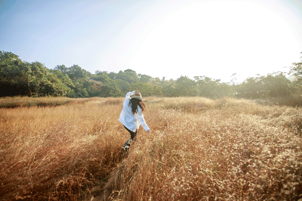 Dharana at Shillim 5*